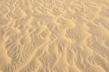 Wind made pattern in desert sand