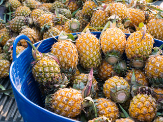 Pineapple in the blue plastic basket.