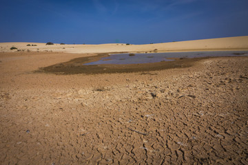 Corralejo natural reserve, Fuerteventua, Canary Islands, Spain