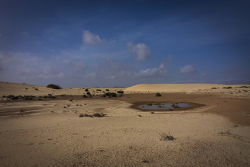 Corralejo natural reserve, Fuerteventua, Canary Islands, Spain