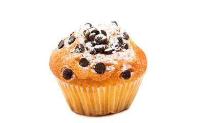 delicious chocolate muffin