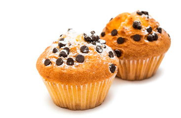 delicious chocolate muffin