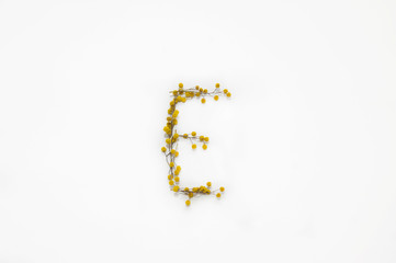 The letter "E" made of acacia flowers