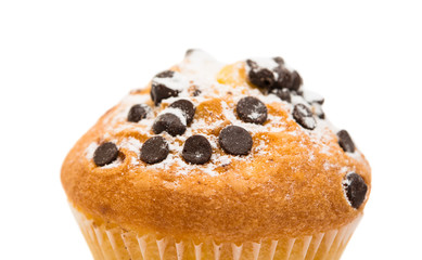 delicious chocolate muffin