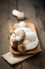 Fototapeta na wymiar King oyster mushroom, Pleurotus eryngii