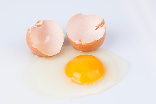 chicken egg isolated on a white background