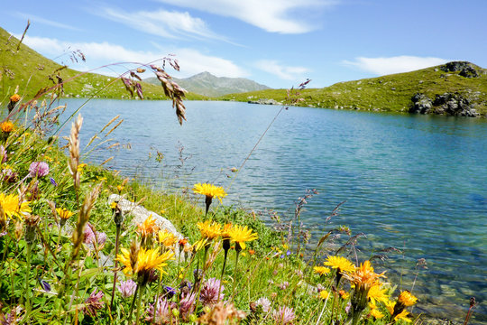 Fr&uuml;hling am Bergsee
