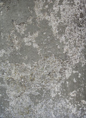 Stone surface