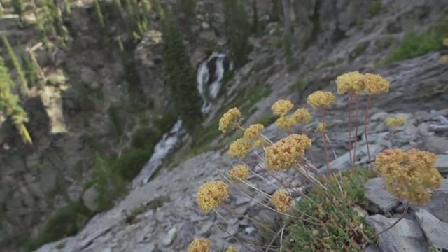Scenes of lakes fields and flowers around the Mt. Lassen Wilderness in Shasta County, California.
