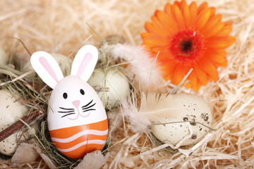 osterhase - osterei