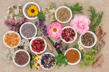 Healing Flowers and Herbs