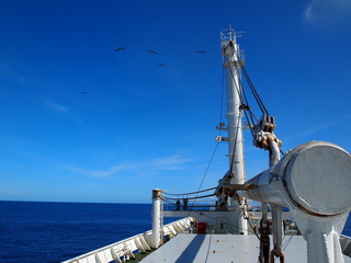 Ogasawaramaru/Tokyo,japan