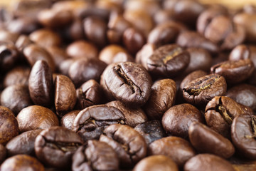 Fototapeta premium Roasted coffee bean arabica, close-up, selective focus, macro image