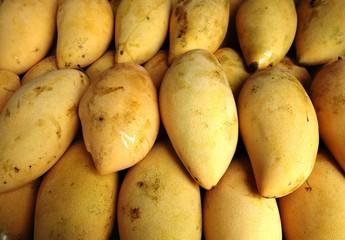 Fresh golden mango for sell in a local market, Thailand