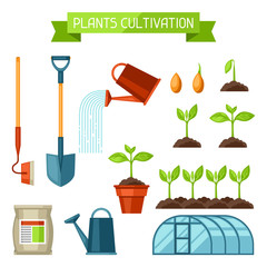 Set of agriculture objects. Instruments for cultivation, plants seedling process, stage plant growth, fertilizers and greenhouse