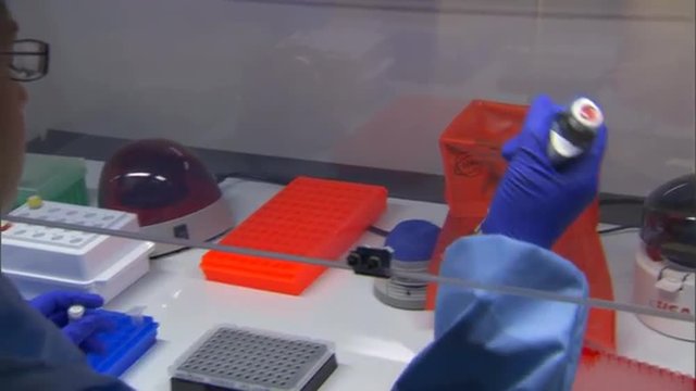 CDC scientists in appropriate personal protective equipment perform various laboratory tests related to antimicrobial resistance in healthcare-associated infections.