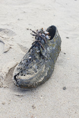 old shoe with shell on beach
