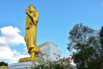 Buddha statues 