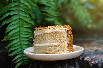 Piece of mocca almond cake on wood plate with green leaves backg