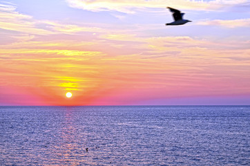 Fototapeta na wymiar sunset over ocean in summer
