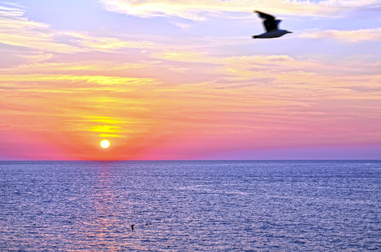 Fototapeta sunset over ocean in summer
