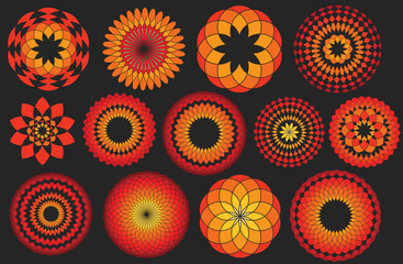 floral geometrical design vector illustration pattern