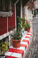 Fototapeta na wymiar pots with plants in a wooden house on a cloudy day in Istanbul