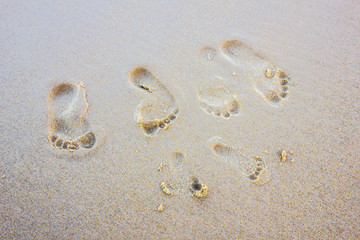 Footprints on the beach
