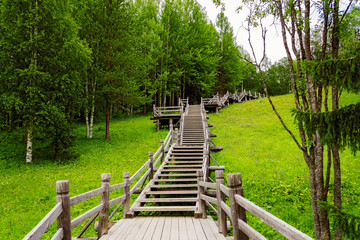 wooden stairs in forest