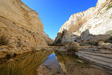 Unique canyon in the  Negev desert.