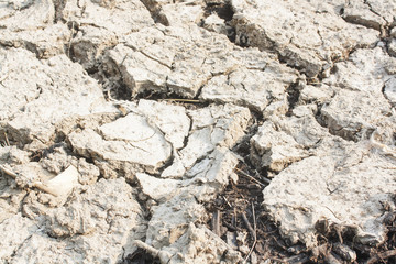 Closeup of dry soil.