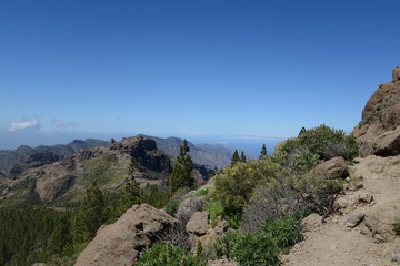 Fototapeta na wymiar Am Roque Nublo, Gran Canaria
