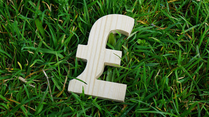 Pound sign of wood isolated on grass background