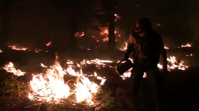 Firefighters start backfires in the forest.