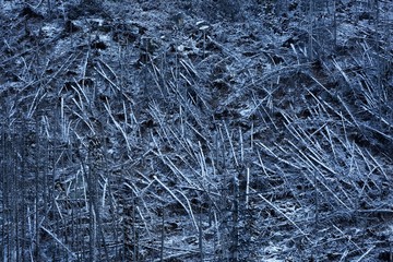 Felling covered with snow