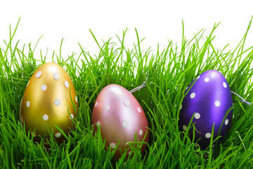 Easter eggs in grass 