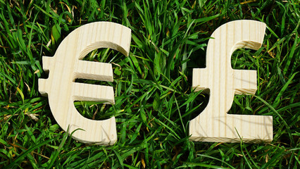 Exchange currency unit on a grass background