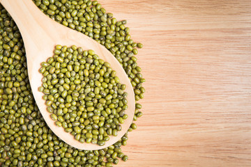 scoop of green beans seed on a pile of green bean seed
