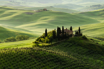 Tuscany - Belvedere house in the morning 2 - 104589834