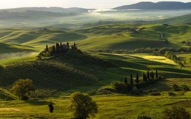 Tuscan landscape - with Belvedere  - 104589852