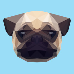 abstract geometric polygonal pug background