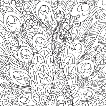 Zentangle stylized cartoon peacock with gorgeous feathers and royal crown. Sketch for adult antistress coloring page. Hand drawn doodle, zentangle, floral design elements for coloring book.