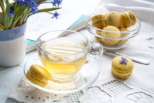 A cup of hot tea, flowers blue snowdrop, sketchbook and lemon macaroons on a light background