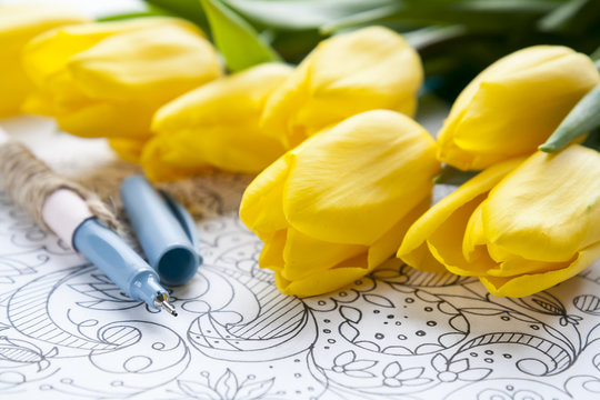 Yellow fresh tulips with graphic sketch and pen