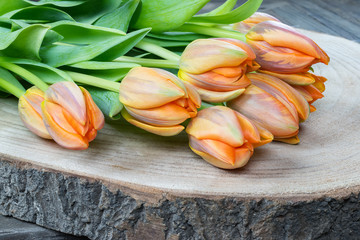 Tulips Orange on wood