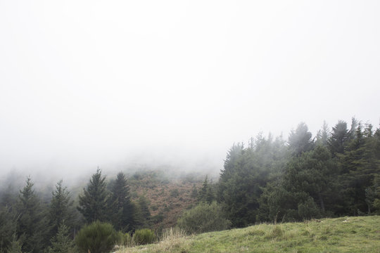 Fototapeta A landscape of mountains with fog