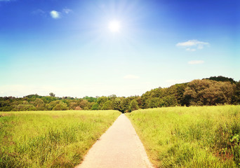 Obraz premium Idyllic footpath through fields and forest, nature background. Country road or street through an idyllic landscape in summer. Forest, fields and blue sky with copy space.