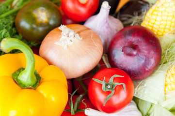Fresh vegetable, close up