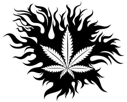 Marijuana leaf symbol vector illustration