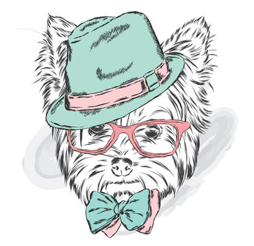 Cute puppy vector. Yorkshire terrier in a hat and sunglasses.